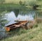 Traditional rowing boat moored