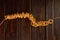 Traditional russian bagels on a rope on dark wooden table, top view