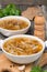 Traditional Russian cabbage soup (shchi) with wild mushrooms