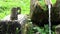 Traditional rustic wooden cup of water near a pure mountain water spring