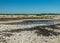 Traditional Saaremaa seascape, Baltic Sea, Saaremaa Island, Sorves Peninsula, Estonia