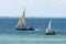 Traditional sailing fishing boats racing