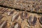 Traditional salted fish drying on racks in Midigama Srilanka