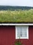 Traditional scandinavian grass roof