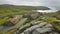 Traditional scottish black houses. Garenin. Lewis isle. UK