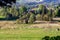 Traditional sheep grazing in the pasture in Zakopane in Tatra Mountains, with polish highlander architecture in the background