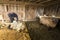 Traditional sheep shearing in an old New England barn