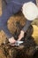 Traditional sheep shearing in an old New England barn