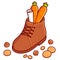 Traditional Sinterklaas gifts carrot in shoe