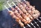 Traditional skewers on skewers and barbecue. Springtime outdoor recreation. Grilled meat