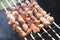 Traditional skewers on skewers and barbecue. Springtime outdoor recreation. Grilled meat