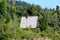 Traditional small wooden mountain house with pointy roof completely surrounded with dense trees and other forest vegetation on