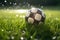Traditional soccer ball resting on grass. Generative AI