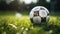 Traditional soccer ball resting on grass. Generative AI