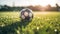 Traditional soccer ball resting on grass. Generative AI