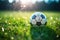 Traditional soccer ball resting on grass. Generative AI