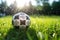 Traditional soccer ball resting on grass. Generative AI