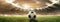 Traditional soccer football ball on grass of football field at stadium with spotlight. Concept of sport, art, energy