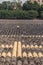 Traditional soy sauce factory, the fermented field with numbers of earthen jars on the ground and workers working in the field