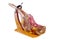 Traditional spanish jamon serrano, italian parma, hamon iberico, prosciutto, leg isolated on white