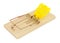 Traditional Spring Loaded Bar Mouse Trap