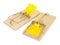 Traditional Spring Loaded Bar Mouse Traps