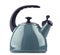 Traditional stainless steel stovetop kettle with whistle