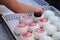 Traditional Steamed Buns, Cheung Chau