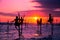 The Traditional Stilt Fishermen in Srilanka