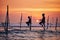 Traditional stilt fishing in Sri Lanka