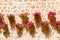 Traditional stone wall ceramic pot flower decorations in Valdemossa village, Mallorca, Spain