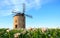 Traditional stone windmill in summer evening, white clovers in foreground