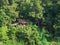 Traditional straw house in Myanmar