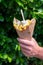 Traditional street food in Belgium and Netherlands, French fried potatoes chips with mayonnaise sauce in paper cone