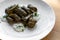 Traditional stuffed vine leaves on a large white plate with sauce
