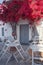 Traditional style taverna with blooming bougainvillea