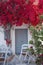 Traditional style taverna with blooming bougainvillea