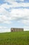 A traditional style tobacco dryer in the middle of the newly harvested plantation