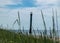 Traditional summer landscape with sandy and pebbly promontory, green dune grass, abandoned sloping Kiipsaare lighthouse in