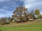 Traditional Swiss architecture and wooden alpine houses in the autumn environment of mountain pastures and mixed forests