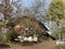 Traditional Swiss architecture and wooden alpine houses in the autumn environment of mountain pastures and mixed forests