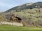 Traditional Swiss architecture and wooden alpine houses in the autumn environment of mountain pastures and mixed forests