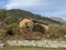 Traditional Swiss architecture and wooden alpine houses in the autumn environment of mountain pastures and mixed forests