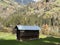 Traditional Swiss architecture and wooden alpine houses in the autumn environment of mountain pastures and mixed forests