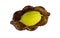 Traditional symbols religion of Jewish festival of Sukkot in Etrog yellow citron