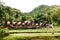 Traditional Tana Toraja village with buffalo in the foreground , tongkonan houses and buildings. Kete Kesu, Rantepao, Sulawesi, In