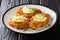 Traditional tasty cheese Romano chicken breast fried breaded served with lemon and green onion closeup. horizontal