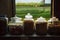 Traditional Thai dried medicinal, natural Herbs Assortment stored in glass jars on shelf next to wooden windows. Oriental Medicine