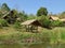 Traditional Thai Thatched Roof House and Pavilion around the Lotus Pond