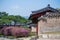 The traditional tiled roofs of Korean traditional architecture boast beautiful colors and curvaceous